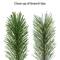 7.5ft. Pre-Lit Oklahoma Pine Artificial Christmas Tree, Warm White LED Lights